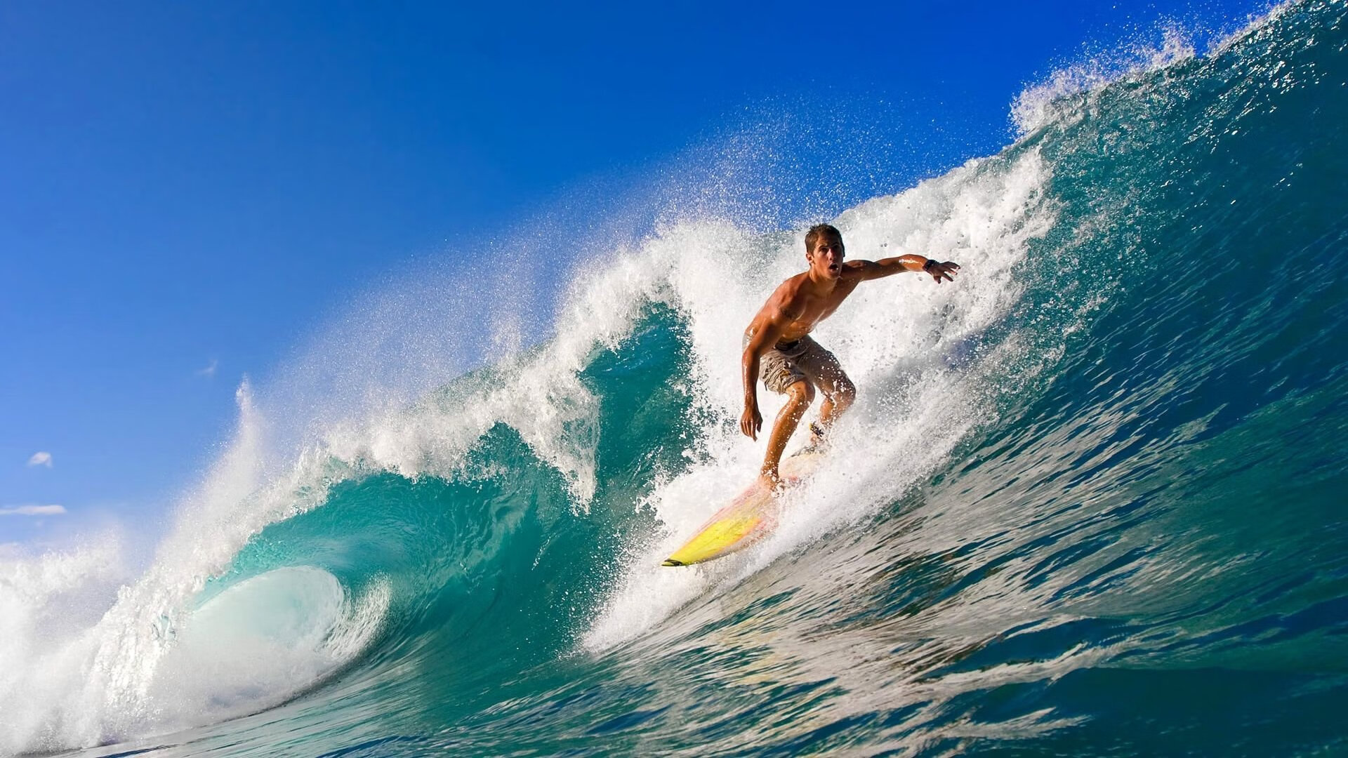 “从草根到顶级球员：埃尔斯·霍斯特的非凡橄榄球之路”