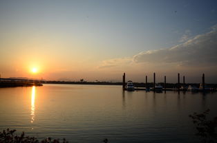 开云中国官网-千帆竞发，轻艇马拉松点亮湖滨赛场，赛艇马拉松多少公里