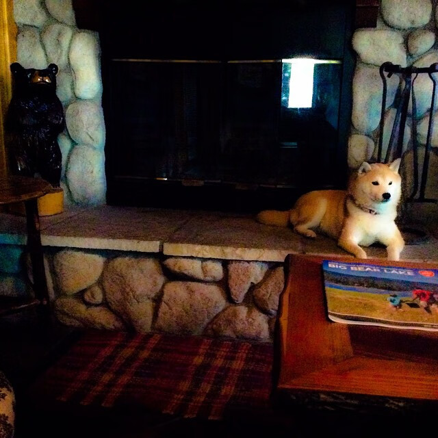 开云官网登录-青少年选拔模式存在年龄焦虑问题，青少年选择奖